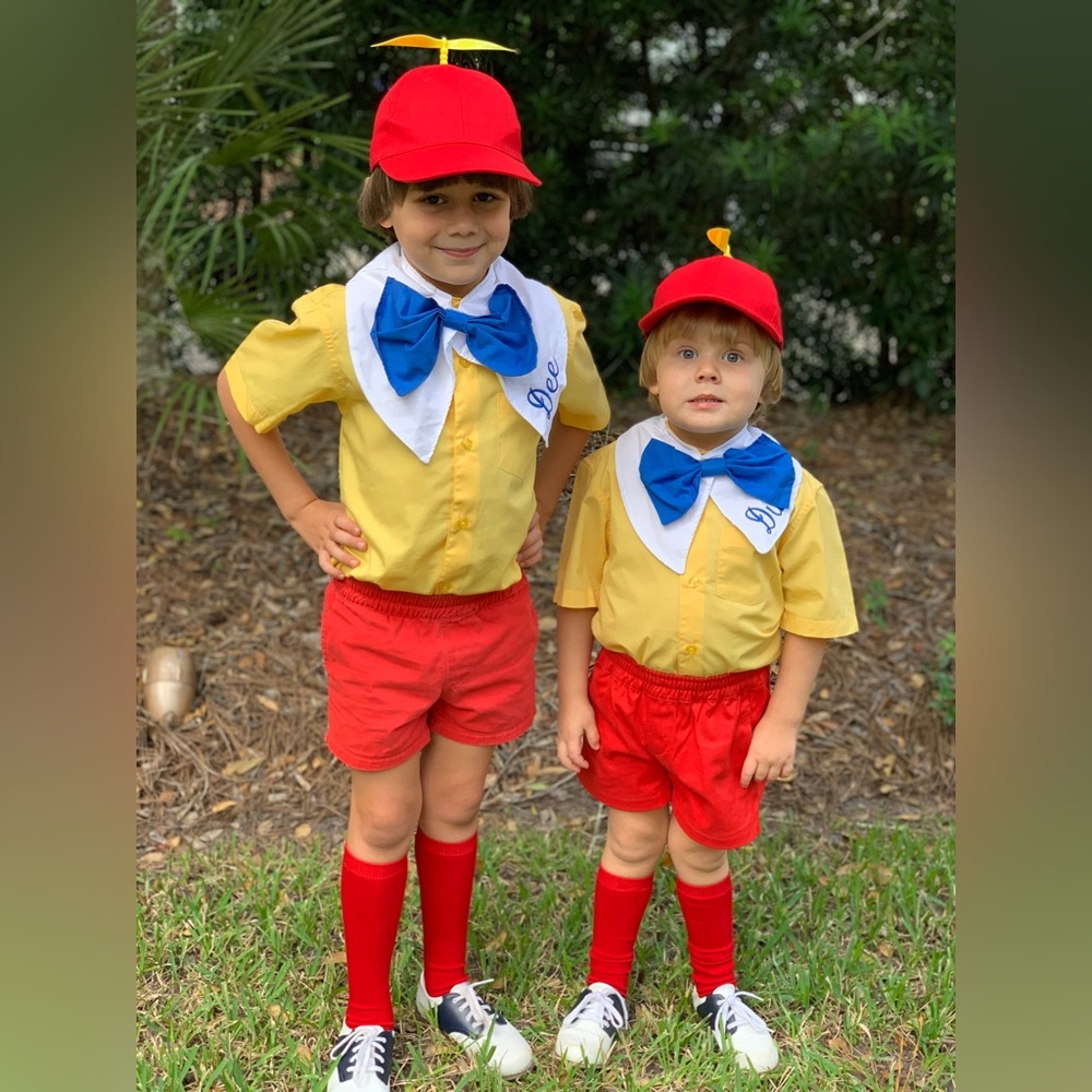 Tweedledee Tweedledum costumes Alice in wonderland